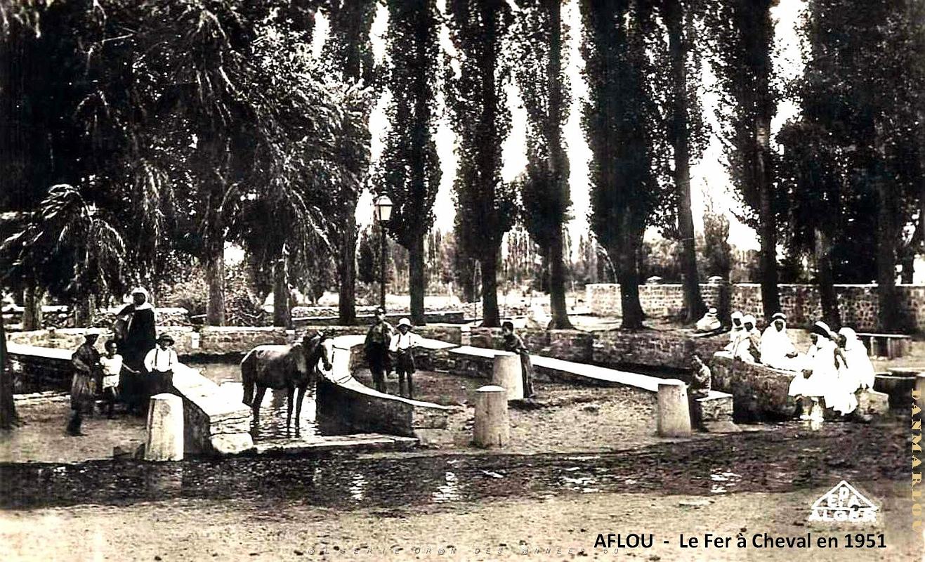 Aflou - Fer a Cheval - 1951.jpg